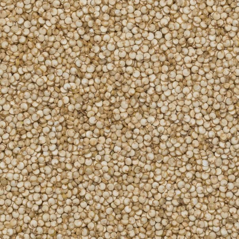 Boabele de quinoa organică Wholefood Earth – 2kg | Crudă | Fără OMG | Vegană | Bogată în fibre | Certificată organică