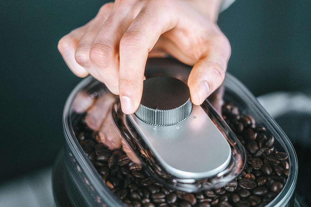 Melitta AromaFresh X – Espressor cu filtru, cu râșniță integrată, carafă de sticlă și funcție de temporizator, pentru până la 10 cești de cafea, negru/argintiu