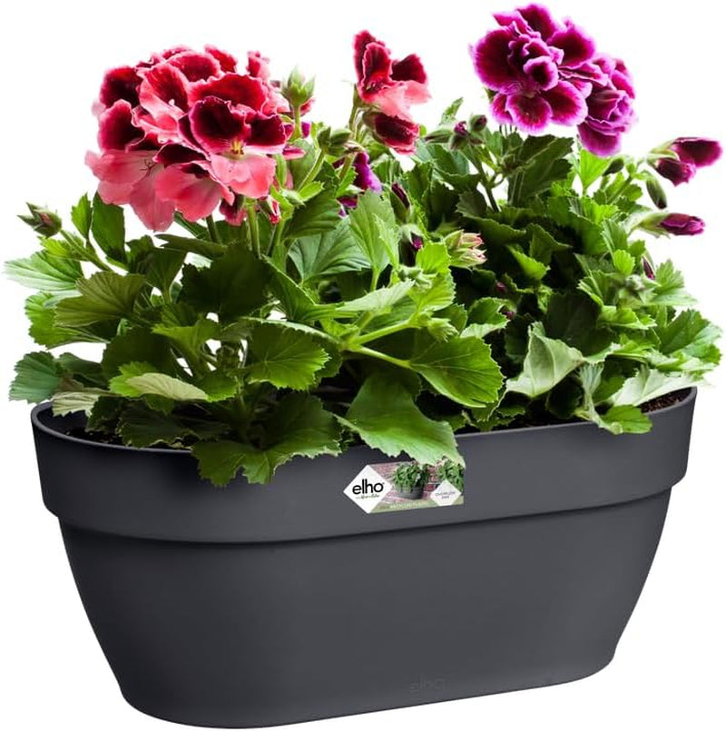 elho Vibia Campana Jardinieră de perete 35 - Jardinieră pentru balcon și utilizare în exterior - Ø 35,0 x H 14,8 cm - Negru/Antracit