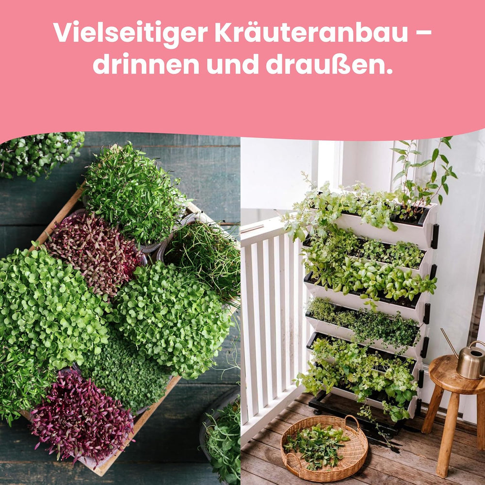 LERAVA Kräutersamen Set – 12 Sorten: Basilikum Samen, Petersilie Samen, Koriander, Oregano & mehr – Saatgut für frische Kräuter im Garten oder Topf, Premium Samen für Küche & Balkon - Samen set, seeds