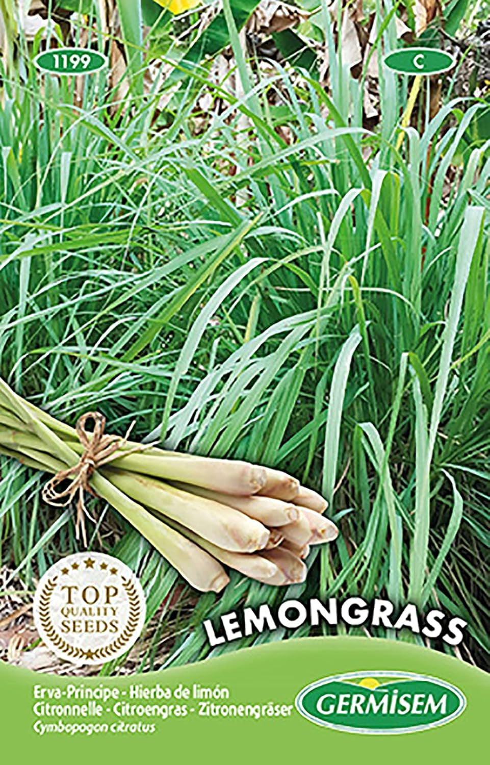 LEMON GRASS