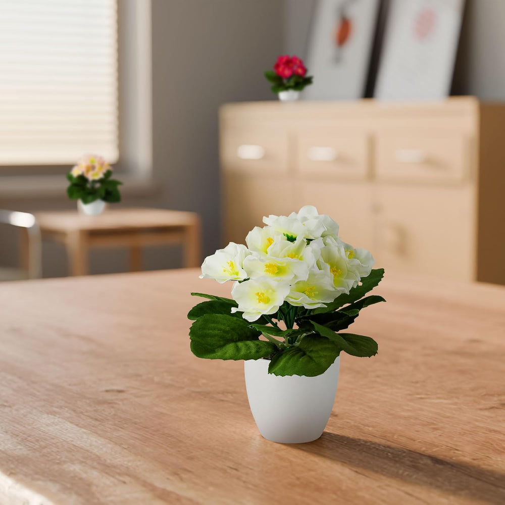 PASCH® Begonie Im Hochglanz-Keramiktopf | Kunstblumen Im Topf | Künstliche Blumen Wie Echt | Fake Blumen | Kunstblumen Wie Echt (Japanische Begonie, 3 Stück, 16Cm)
