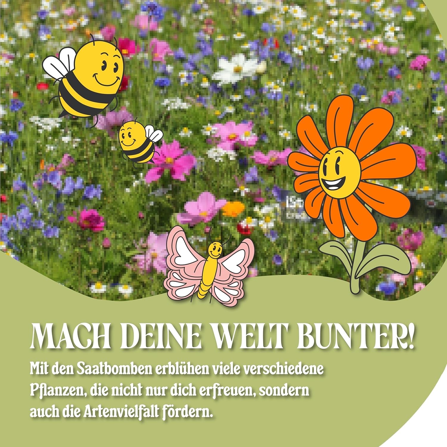 LouMaxx Set de bombe cu semințe lucrate manual 10x3, cadou cu bombă cu semințe, semințe de flori ca favoruri de petrecere, semințe sustenabile pentru cadouri de petrecere pentru copii, bile de plantare ecologice cu peste 50 de tipuri de semințe de flori