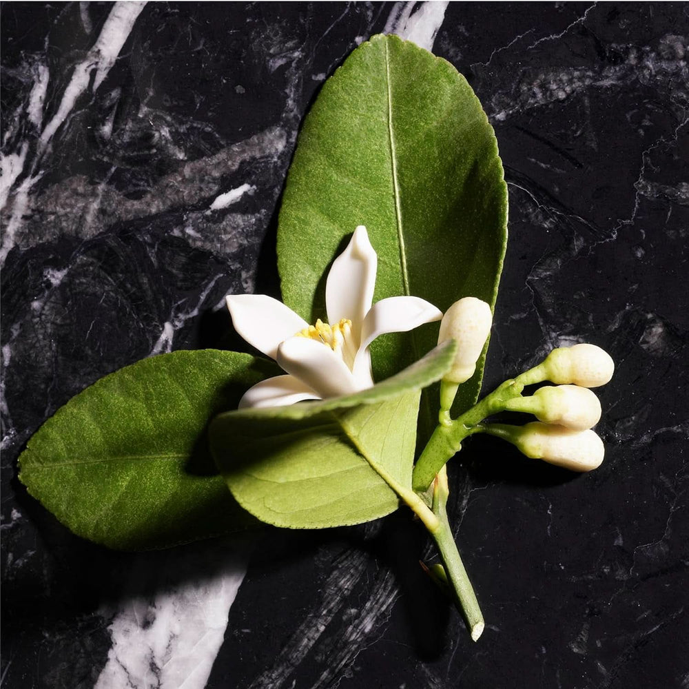 JOOP! Homme, Gel de duș pentru bărbați, parfum oriental-floral-lemnos, 150 ml Duș și baie Naty Shop