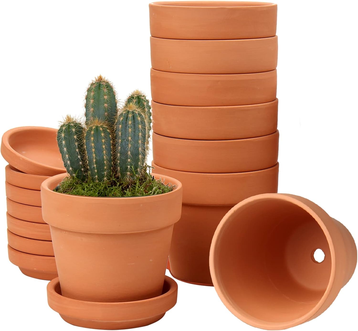 Hollyone set de 8 piese de ghivece mici din teracotă, ghivece rotunde din lut de 8 x 8 cm cu farfurie și orificiu de drenaj, ghivece mici cu tavă, ghivece suculente din teracotă pentru plante de apartament, jardiniere ceramice