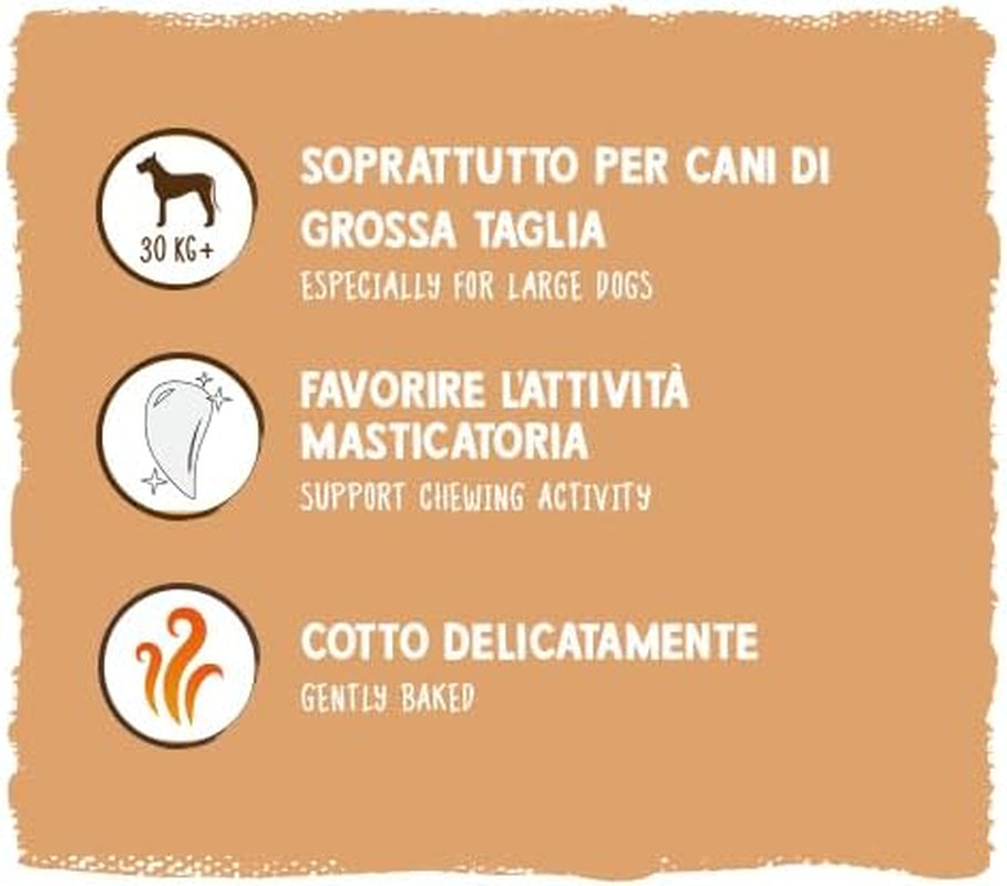 Monede de muesli Sammy's | Gustări crocante coapte pentru câini | Monede de muesli din 5 cereale pentru prietenul tău blănos de talie mare (peste 30 kg) | 1 kg