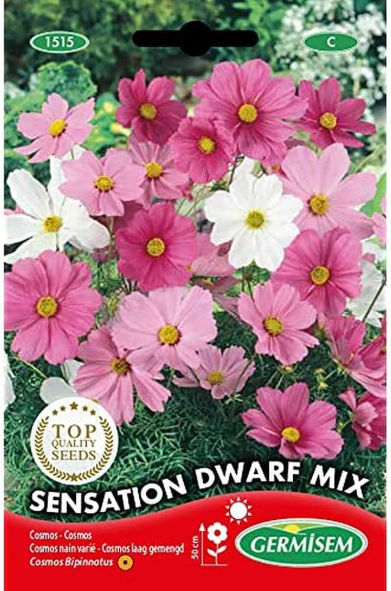 Coș de bijuterii, multicolor, EC1515