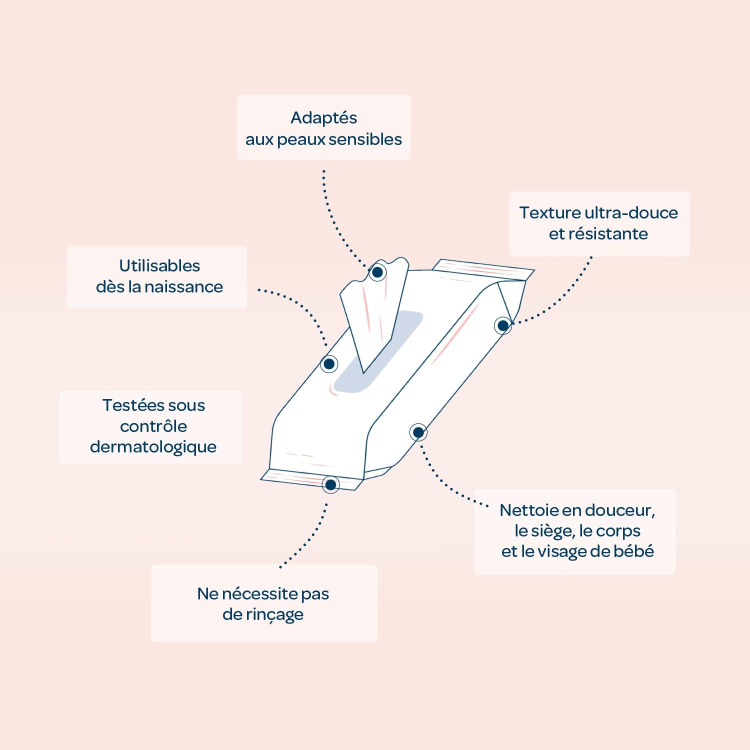 BIOLANE - Pachete de 12 - Șervețele umede pentru bebeluși cu lapte de toaletă - Bebeluși - 864 Șervețele umede pentru bebeluși - Curăță și hidratează - Pentru piele sensibilă - 98% origine naturală - De la naștere