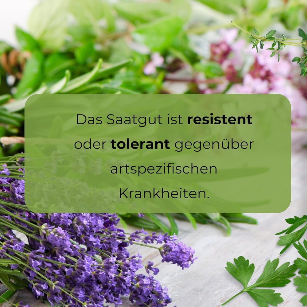 Semințe Cosmos Sensation Mix 1g, Mix Cosmos Flori de vară, Plante de grădină Plante de balcon, Semințe de flori