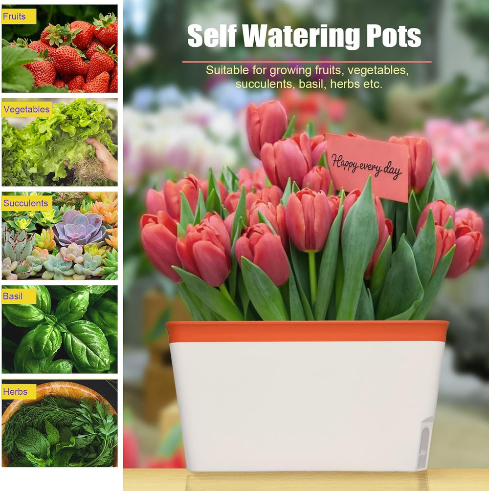 Ghiveci de flori cu auto-udare, set de 3, ghivece dreptunghiulare de 27 cm, ghivece pentru plante aromatice, cutii pentru pervaz cu rezervor de apă, ghivece moderne din plastic pentru interior și exterior, grădină, birou