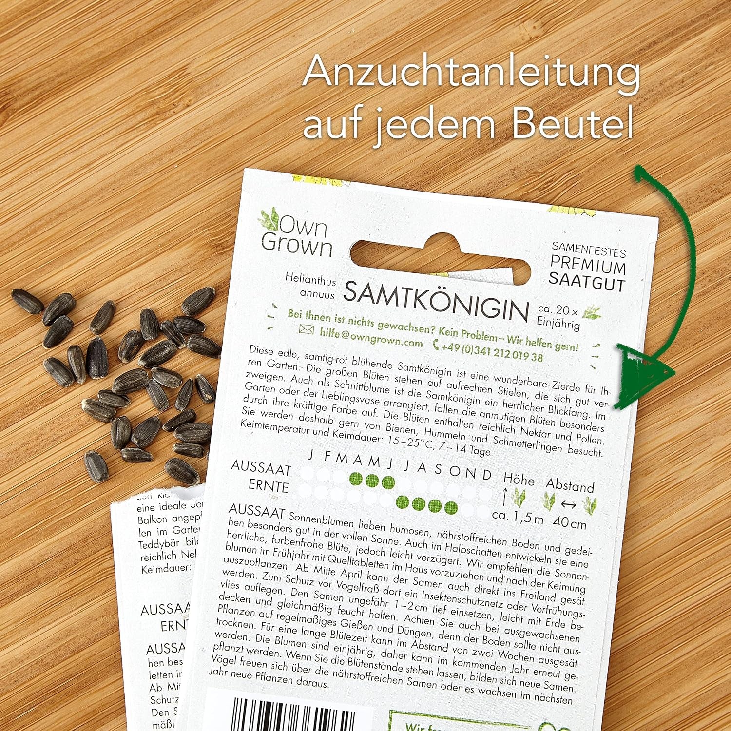 Semințe de floarea-soarelui Discus galben (Helianthus annuus): Semințe de floarea-soarelui premium, semințe de floarea-soarelui pentru cultivarea a aproximativ 20 de plante de floarea-soarelui – Semințe de flori prietenoase cu insectele de la OwnGrown