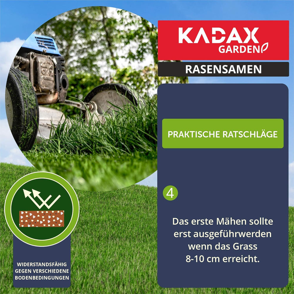 KADAX Ziergras, 200 M², Ziergrassaatgut, Grassaatgut, Rasenmischung, Grassamen, Rasensaat, Wirksames Saatgut, Rasensaatmischung, Gras, Saatgutmischung (5 Kg)