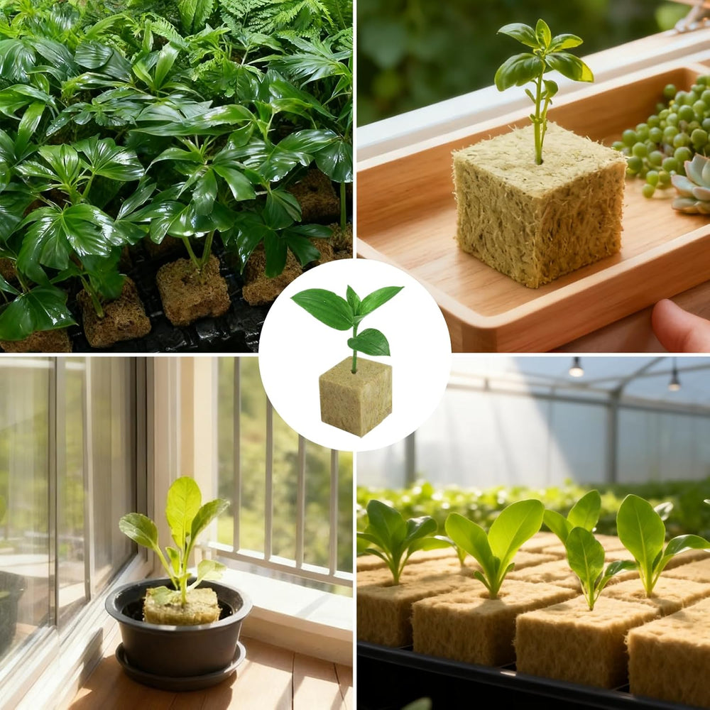 100 cuburi din vată de rocă pentru înmulțire, 25x25x25 mm, cu mănuși, izolație din vată de rocă, cuburi de înmulțire Easy Plug, cuburi din vată de rocă pentru hidroponie, butași, înmulțire fără sol