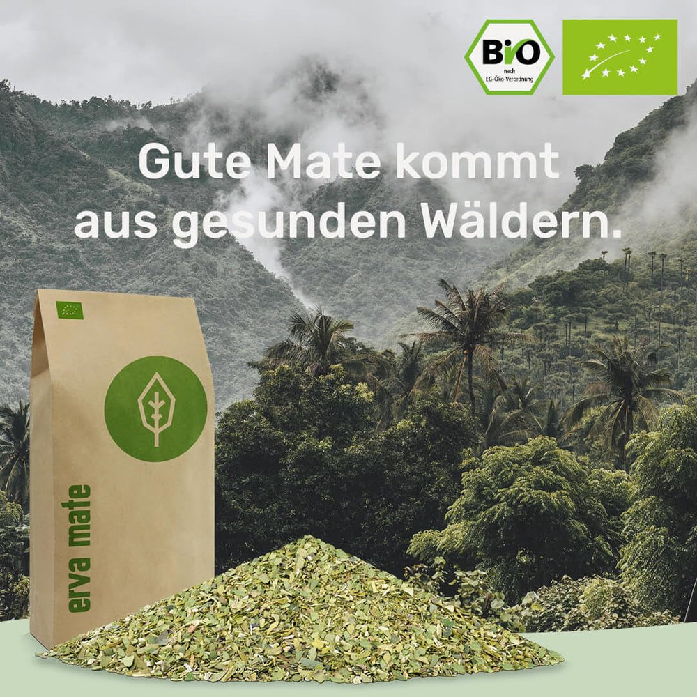 Ceai Mate BIO 1KG ● Proaspăt și verde ● Yerba Mate original ● Uscat la aer ● Fără fum ● Fără plastic ● Echitabil ● Ceai Mate din frunze de Mate, ramuri de Mate și pudră de frunze de Mate ● DE-ÖKO-006