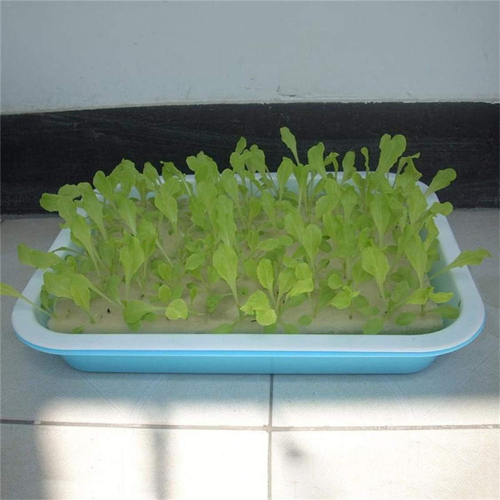 Burete hidroponic, 100 buc bureți hidroponici pentru creșterea semințelor, instrument de grădinărit pentru plante sau răsaduri cu muguri mici