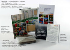 SAFLAX - BIO - Păpădie - 400 semințe - Taraxacum officinale