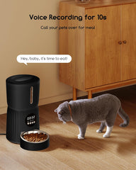 Hrănitor automat pentru pisici Faroro, dozator de hrană pentru pisici de 4 l, hrănește 1-6 mese pe zi, control al porțiilor, comandă vocală în 10 secunde, hrănire lentă (negru)