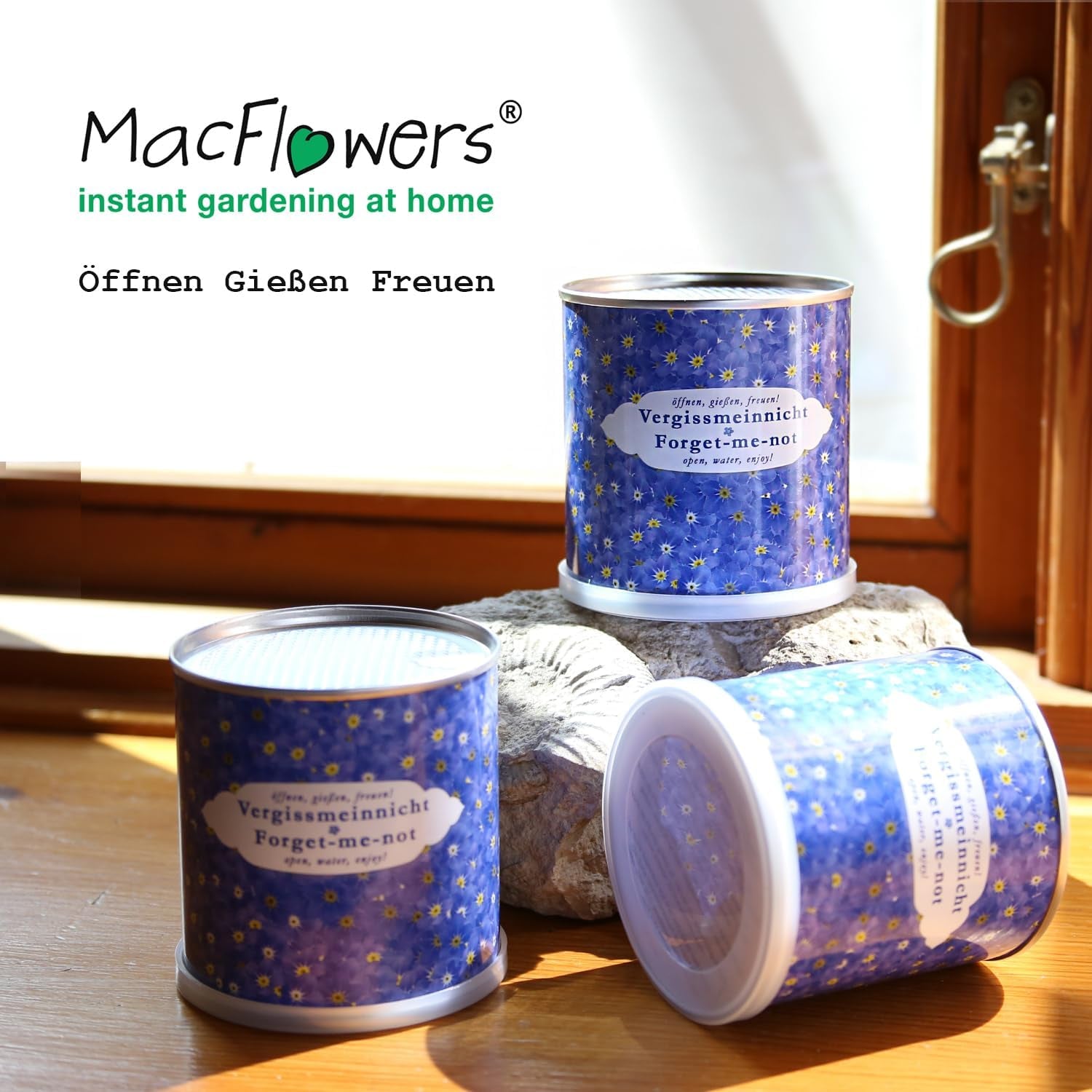 Nu-mă-uita într-o cutie de flori | Kit de creștere ca un cadou special | Deschide, udă, savurează | Pentru rămas bun sau ca mulțumire