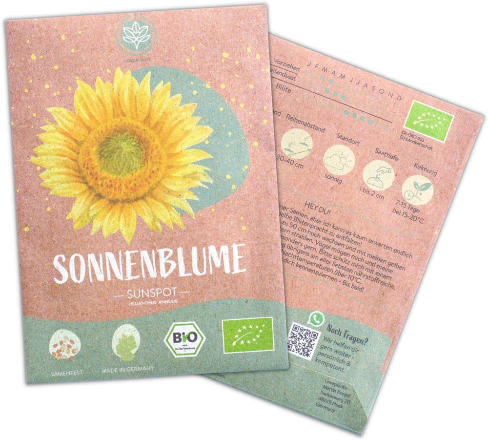 Semințe de floarea-soarelui organice, ramificate, 20 de semințe de floarea-soarelui cu o rată mare de germinare, semințe de floarea-soarelui pentru grădina, balconul, stratul de flori sau cadou pentru oaspeți. Semințe de flori cu polenizare liberă.