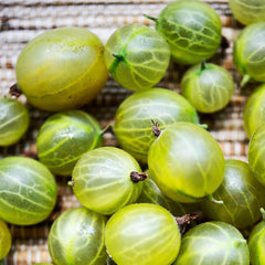 Gelbe Stachelbeere - Obstpflanze Auf Blumentopf 20 - Baum – 2 Jahre Anbau Italien