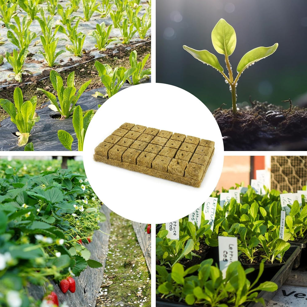 28 cuburi de lână Rockwool, Set de lână Rockwool, Covoraș de creștere Rockwool, Covoraș de creștere hidroponică fără sol, Cub de lână Rockwool, Cuburi de lână Rockwool pentru butași, Clonare, Propagare 4 * 4 * 4cm