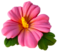 Decoratiune comestibila, Floare de hibiscus