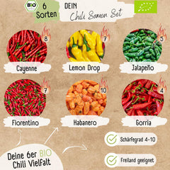 Set de semințe de chili organice – 6 semințe de chili organice, cu o intensitate ușoară până la extrem de iute, de calitate polenizată liber | de la picantul Habanero la soiuri de chili colorate și tradiționale – Semințe de Pepperoni