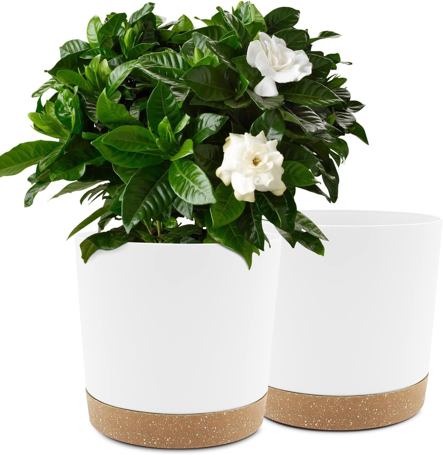 Ghiveci de flori set de 2 12,7 cm, ghivece pentru plante de interior cu găuri de drenaj și bază detașabilă, farfurioare decorative moderne pentru jardiniere de grădină de exterior (alb 12,7 cm)