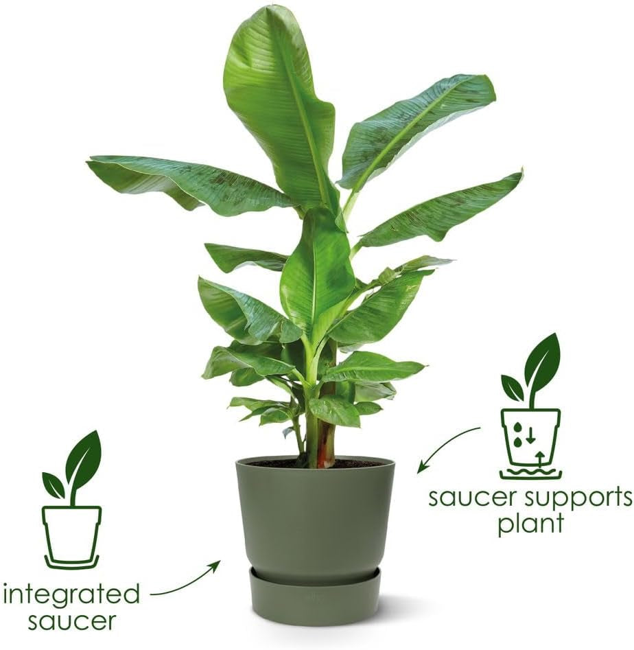 elho Greenville Round 16 - Ghiveci pentru flori pentru interior și exterior - Ghiveci cu auto-udare - 100% plastic reciclat - Ø 16,0 x H 15,3 cm - Verde/Verde frunză