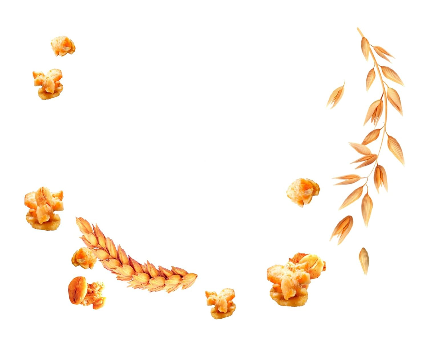 Dr. Oetker Vitalis Less Sweet Crunchy Pure: Musli crocant cu 30% mai puțin zahăr, pachet de 5 (5 x 600g)