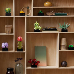 LEGO Botanicals Succulents - Set de construcție flori artificiale pentru adulți - Set de construcție buchet de flori - Hobby creativ și decorațiuni pentru casă - Idee de cadou pentru femei și bărbați - Colecție botanică (9 plante) 10309 Seturi de constructie Besuche den LEGO-Store