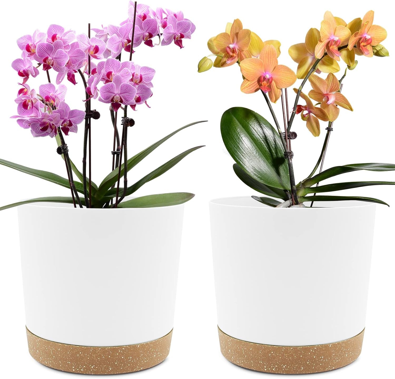 Ghiveci de flori set de 2 12,7 cm, ghivece pentru plante de interior cu găuri de drenaj și bază detașabilă, farfurioare decorative moderne pentru jardiniere de grădină de exterior (alb 12,7 cm)