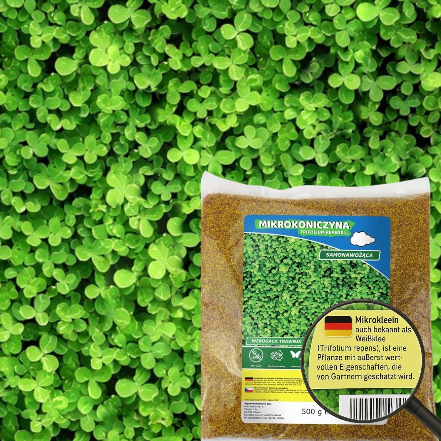 Pajiște cu flori - Amestec de semințe de flori prietenoase cu albinele - Flori sălbatice și ierburi pentru locații uscate - Semințe de flori sălbatice - Amestec de semințe anuale și perene