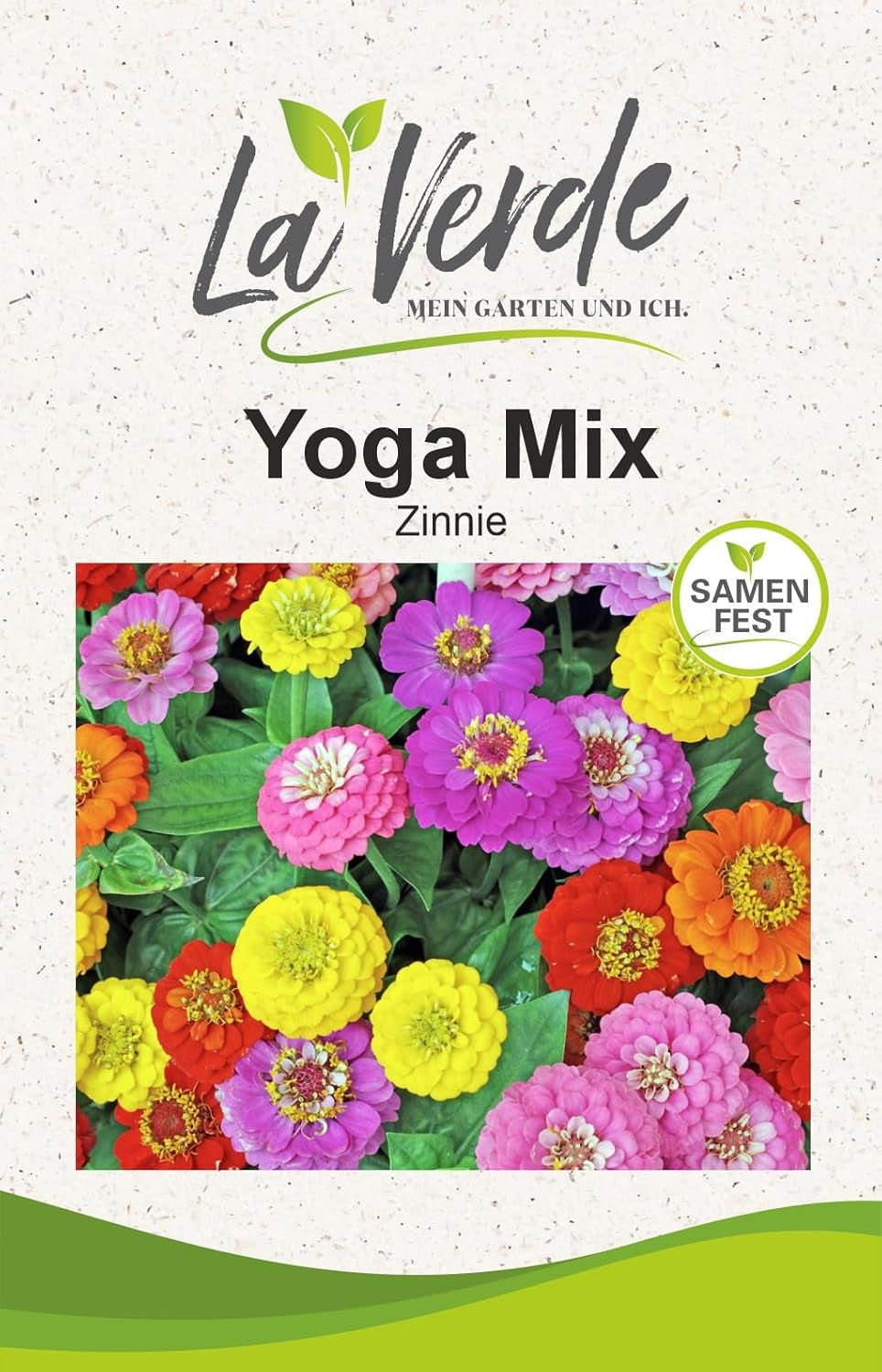 La Verde GRĂDINA MEA ȘI EU. Tagetes Bonita Mix semințe de flori pentru aprox. 100 de plante, gălbenele cu înflorire lungă, flori duble, semințe non-OMG