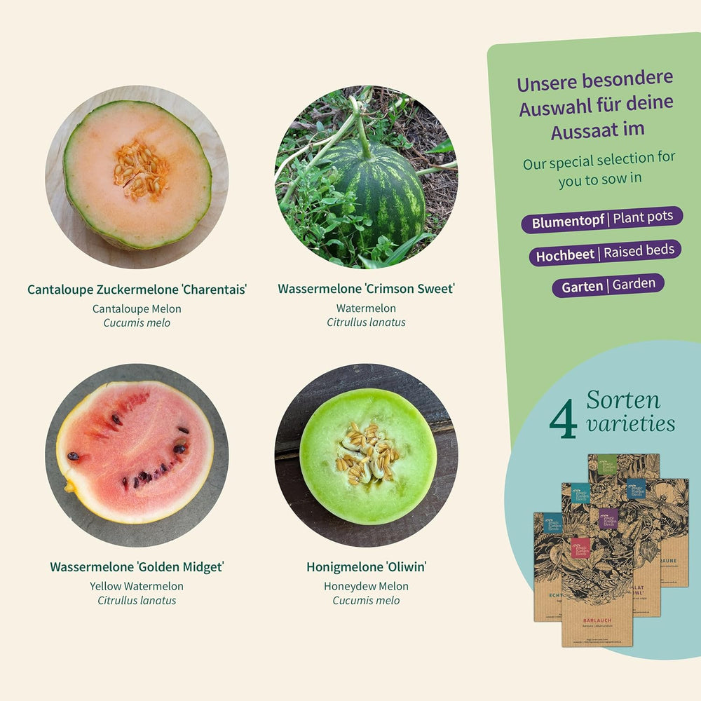 Magic Garden Seeds - Melonen Garten Saatgut-Box Mit 4 Sorten - Wassermelone, Honigmelone & Zuckermelone Für Hochbeet, Topf & Garten - Aromatisch & Süß