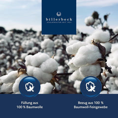 Plapumă Billerbeck Vanessa Superlight - plapumă de vară - 155 X 220 Cm - plapumă de bumbac, plapumă răcoritoare, plapumă ușoară de vară - 100 % bumbac, alb Plapumi si pilote Naty Shop