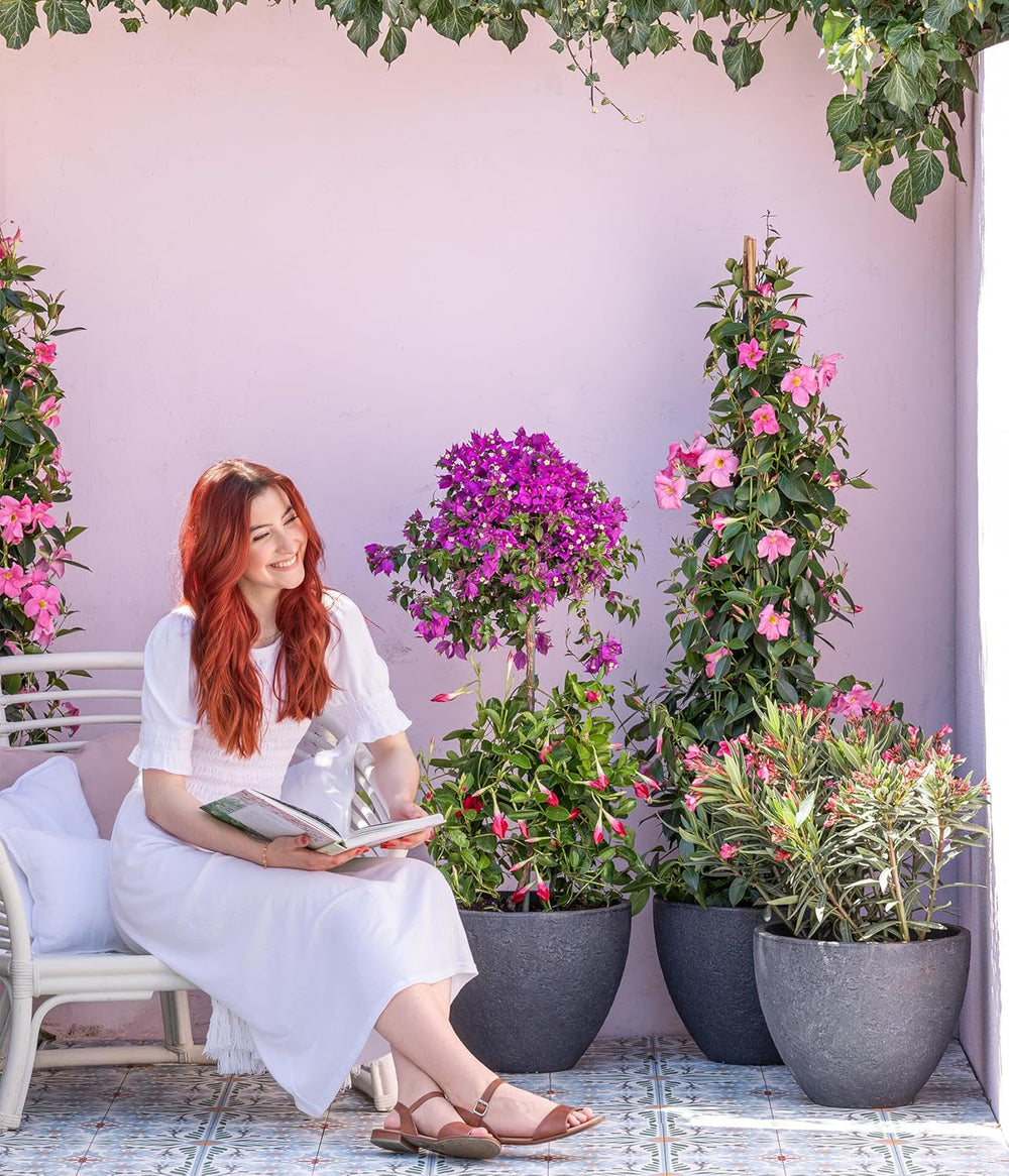 Ghiveci Dehner Stone, Ø 40 cm, înălțime aprox. 31 cm, plastic, antracit