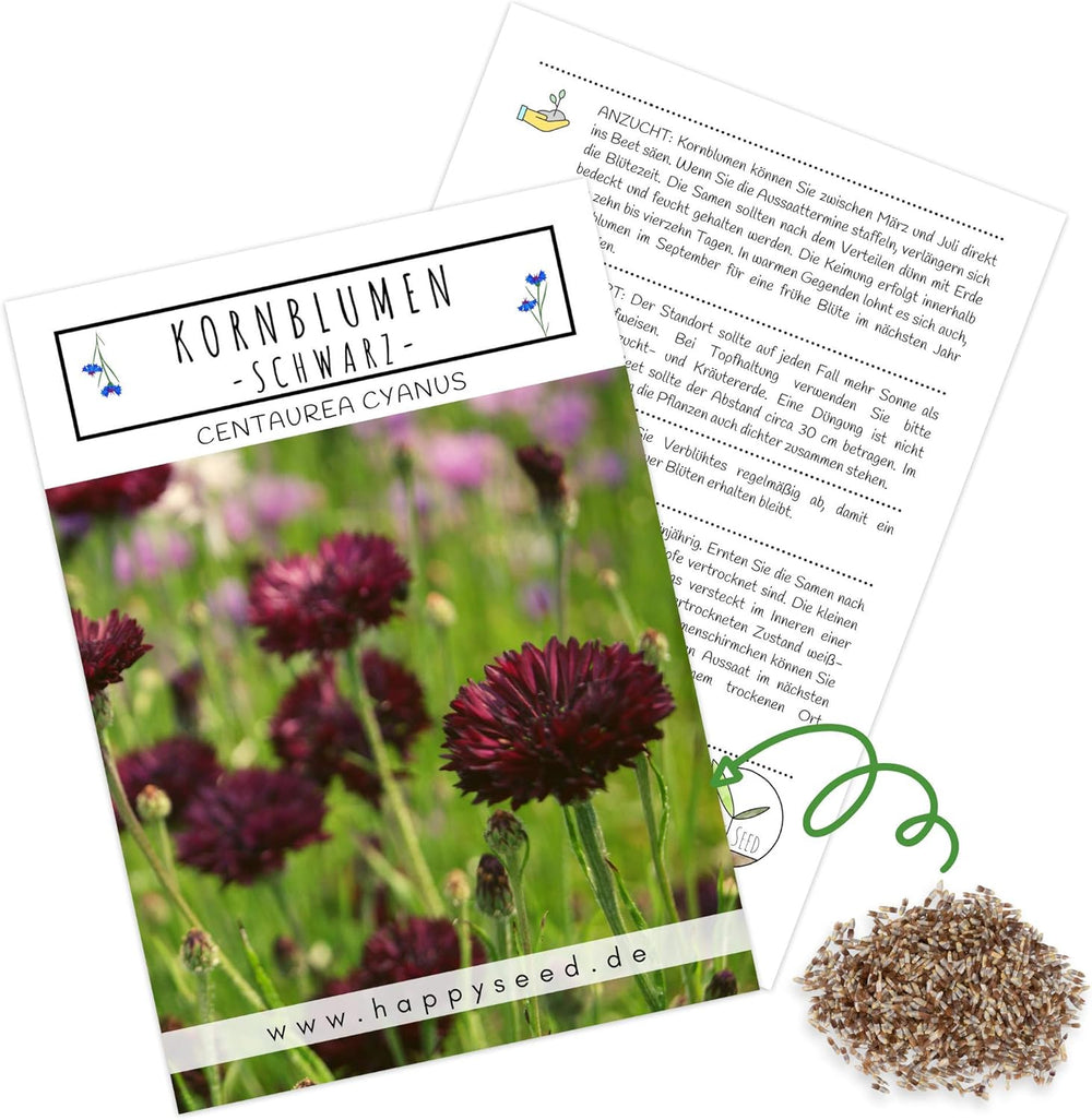 Semințe de albăstrele (Centaurea cyanus) - Flori frumoase și vibrante, cu o perioadă lungă de înflorire, pentru o pajiște cu flori colorate (Mix, 1000 de semințe, 80 cm)