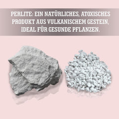 LERAVA® Perlit pentru plante (5L) – Perlit cu granulație grosieră pentru îmbunătățirea solului – Asigură drenaj și aerare optime – Aditiv natural pentru sol și hidroponie – Granule pentru plante