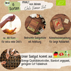 Set de semințe de chili organice – 6 semințe de chili organice, cu o intensitate ușoară până la extrem de iute, de calitate polenizată liber | de la picantul Habanero la soiuri de chili colorate și tradiționale – Semințe de Pepperoni