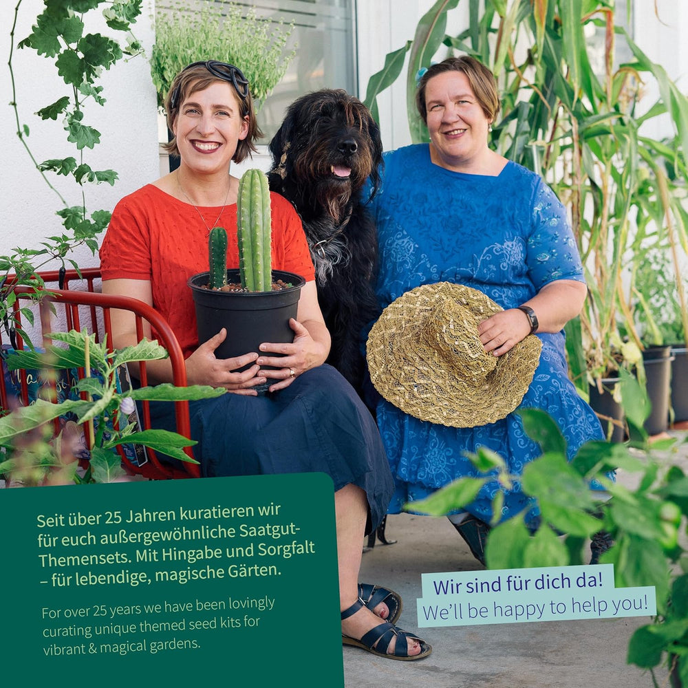 Semințe Magic Garden - Grădina Mănăstirii: Legume și Ierburi din Evul Mediu - Cutie cu Semințe cu 9 Soiuri Istorice pentru Bucătărie, Plante Medicinale și Grădină