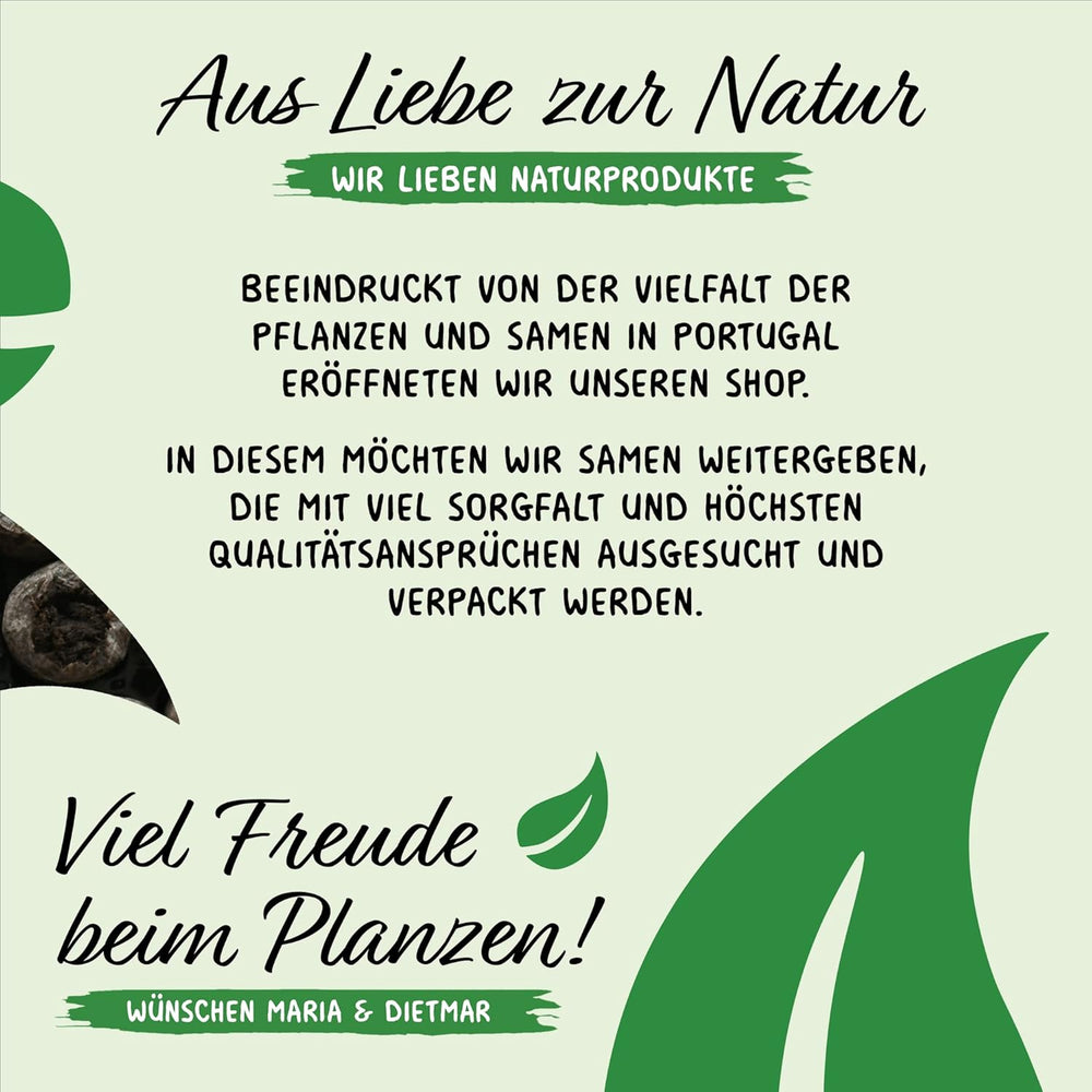 Prademir – Kräutersamen Set aus 16 beliebten Küchenkräutern – Kräuter Anzuchtset mit 100% Natursamen aus Portugal – Kräuter Saatgut aus Oregano, Thymian, Majoran, Rosmarin, Dill, Basilikum, Salbei uvm