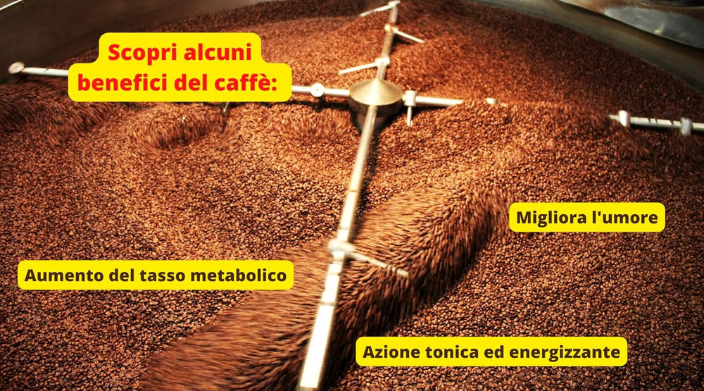Caffè New York - XXXX - Cafea boabe întregi - 1000g