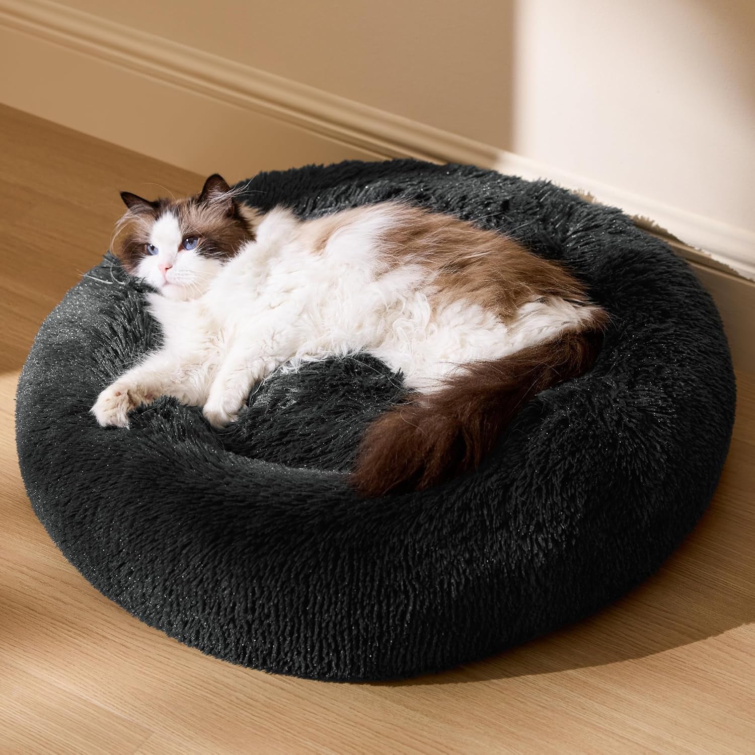 Paturi, cuverturi & mobilier, animale de companie, pisici, paturi pisici, Pisici - culcusuri, saltele
