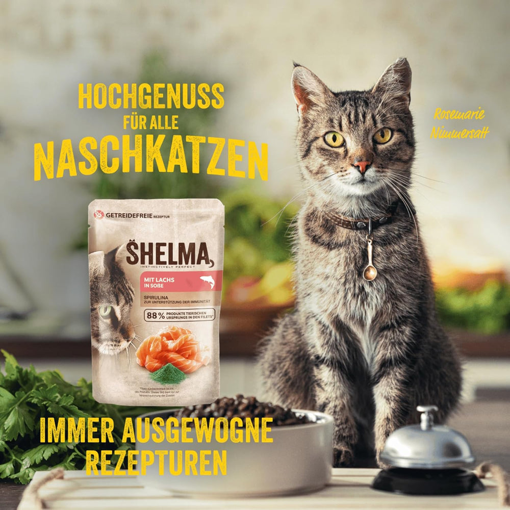 Shelma Katzen-Nassfutter mit Lachs in Sauce und Spirulina – Getreidefreies Alleinfuttermittel mit hohem Fleischanteil – 28 x 85 g (2,4 kg)