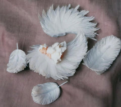 Decoratiune comestibila, Botez, Fetita