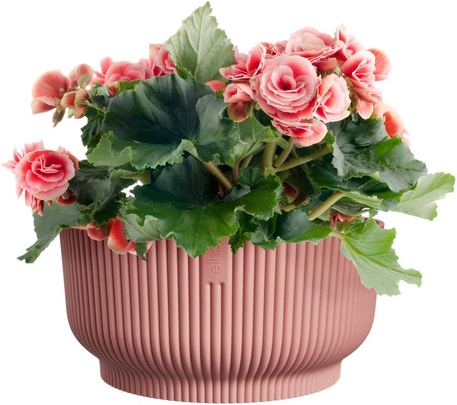 elho Vibes Fold Bowl 25 - Ghiveci de flori de interior - 100% plastic reciclat - Ø 24,9 x H 12,1 cm - Roz/Roz deschis