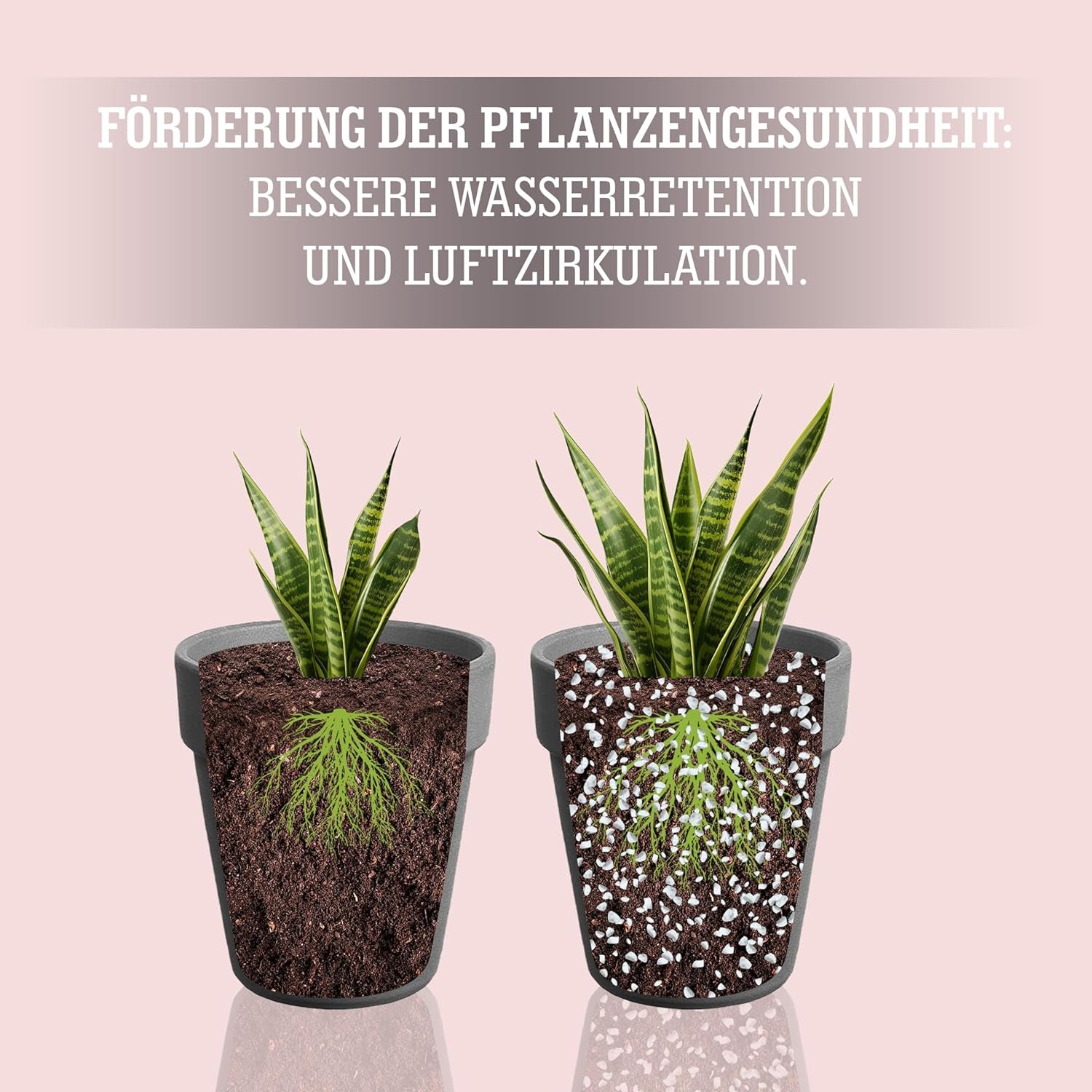 LERAVA® Perlit pentru plante (5L) – Perlit cu granulație grosieră pentru îmbunătățirea solului – Asigură drenaj și aerare optime – Aditiv natural pentru sol și hidroponie – Granule pentru plante