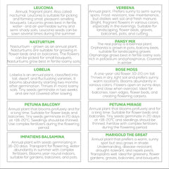 Set de semințe de flori Nojus – 10 varietăți de semințe de flori – Semințe de flori de balcon – Semințe de plante colorate – 10 pachete – Semințe de flori sălbatice – Pliculețe cu semințe de flori – Cadou ideal cu semințe de flori