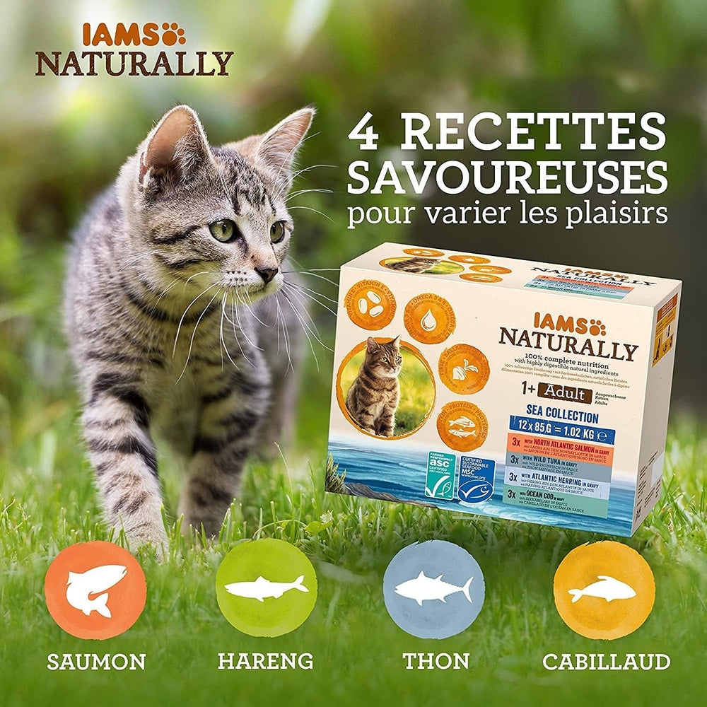 IAMS Hrană umedă naturală pentru pisici în sos - Hrană umedă de înaltă calitate cu pește pentru pisici adulte, Colecția Sea, 12 x 85 g